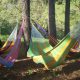 hamacas en el bosque